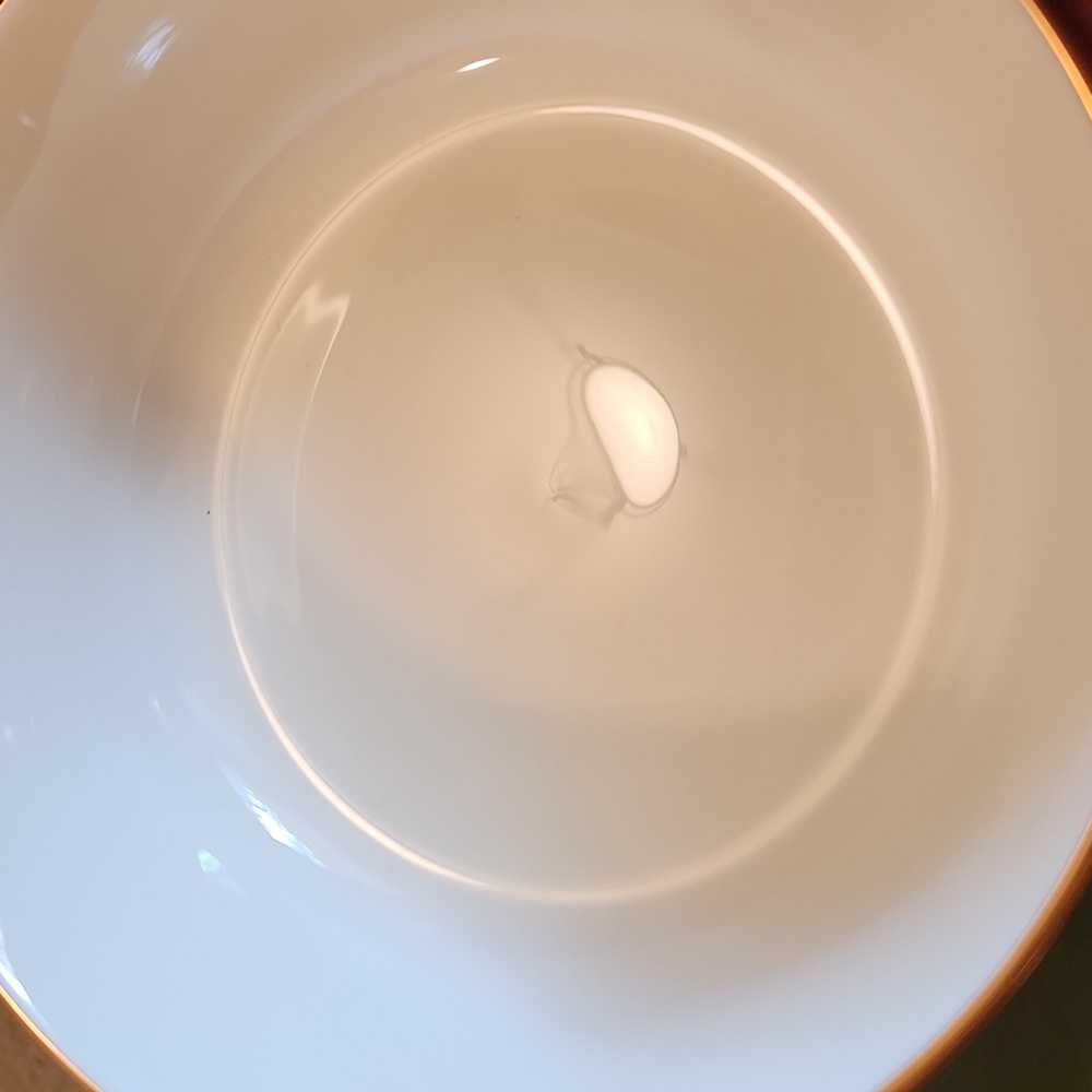 Lenox Winter Greetings Holiday Bowl with Holly Design - Picture 3 of 6